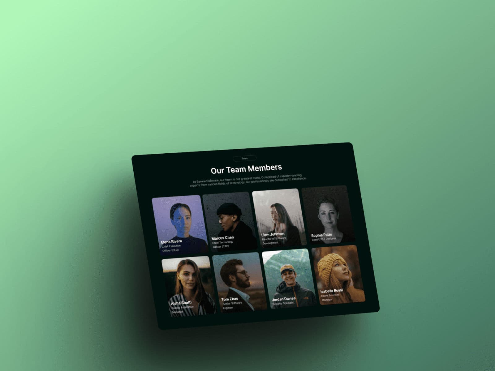 Template preview 2