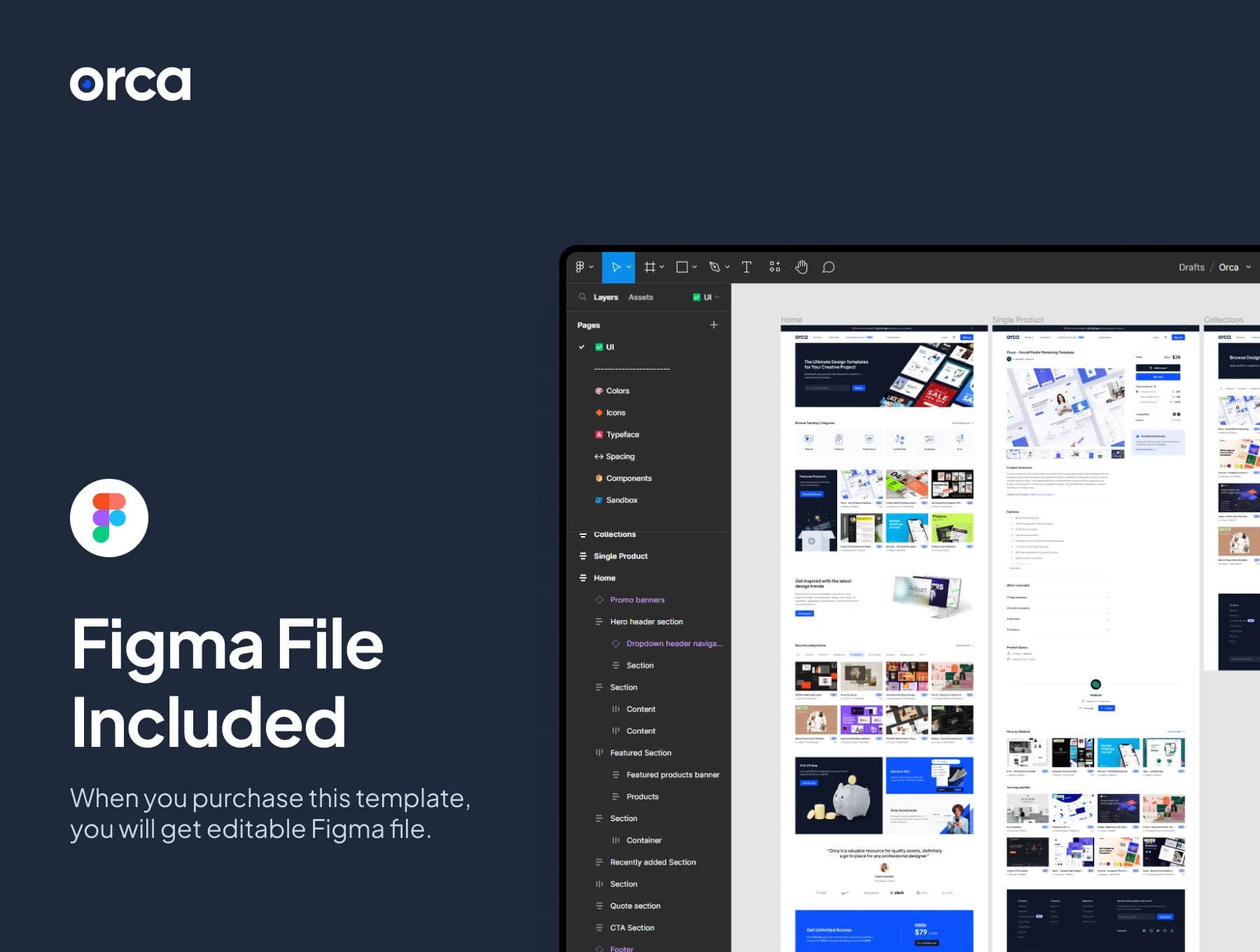 Template preview 6
